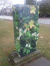 MacPherson Park Flower Box