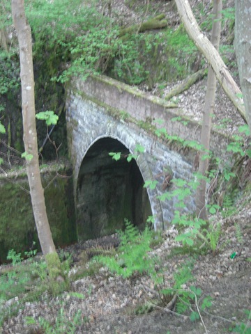 [peebles walk tunnel[3].jpg]
