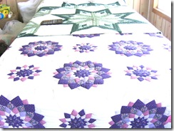 mennonite two quilts
