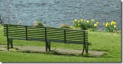 the bench and daffs tweed green