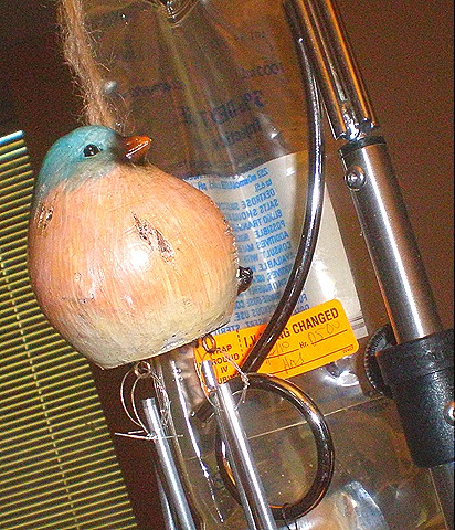 [P422031613.jpg]