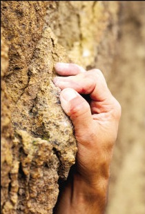 [CSM103000_24_365.jpg]