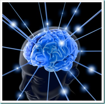 brain-763982-1