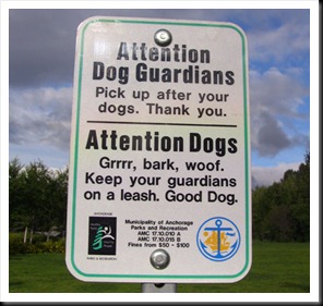 attention-dogs-af