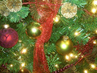Christmas tree 2009 2