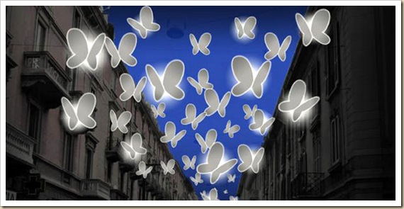 Illuminations papillons-5