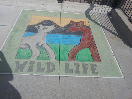 Wild Life Mural at 40th Street Swift Station