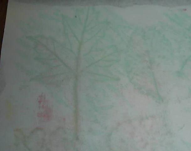 [chalk leaves[2].jpg]