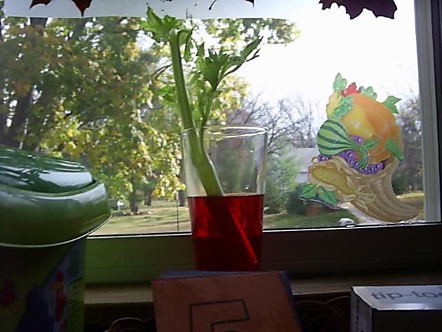 [scienceceleryexperiment22.jpg]