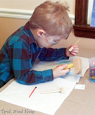 [fossildigging22.jpg]