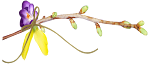 by%20fenix%20b%204.png