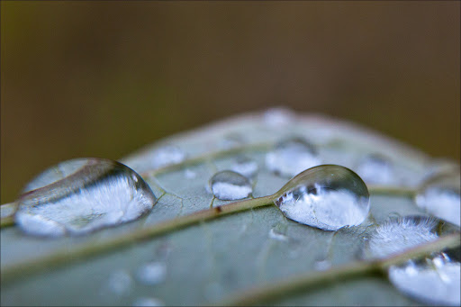 Позднеосеннее