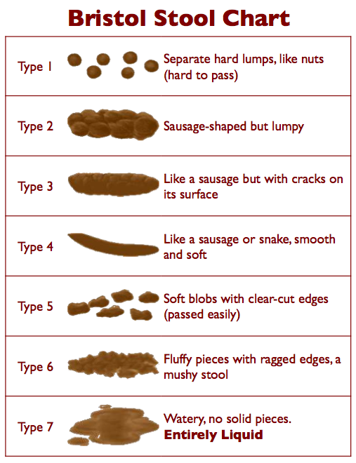 [POOPCHART[4].png]