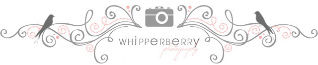[WhipperBerryPhotographyLogo[4].jpg]