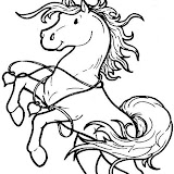 caballo salta crines.gif.jpg