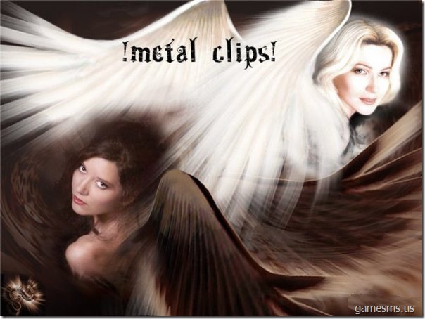 Metal Clips