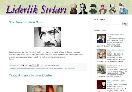download Liderlik Sırları free