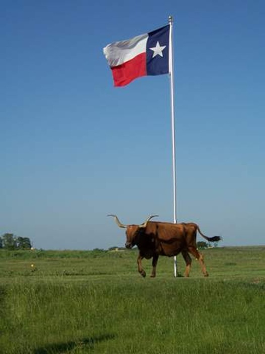 texas flag 3