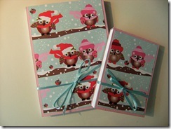 211010_Covered_Notebooks_Pink_Owls
