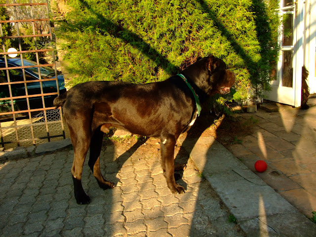 100406%20040.jpg