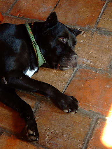 100719%20117.jpg