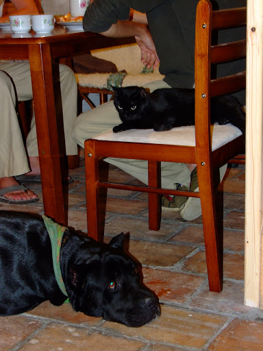 100811%20053.jpg