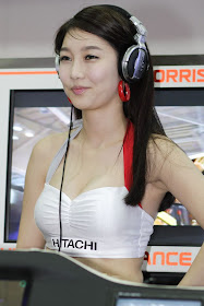 SAS 2010