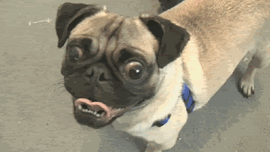 2e0v85c.gif