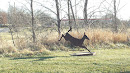 Deer Statue at Hunters Ridge