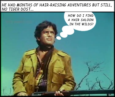 Shashi looking for a tiger.