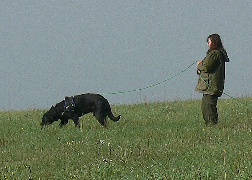P1030154.JPG