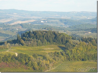Tuscany 713