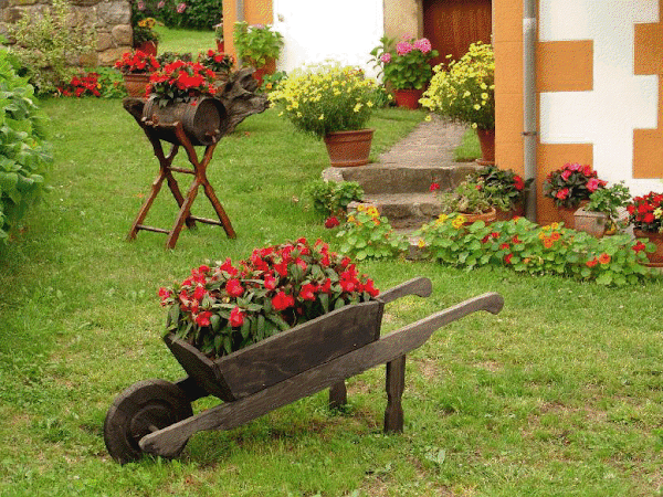 flores11.png