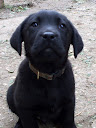 DSCF6587.jpg