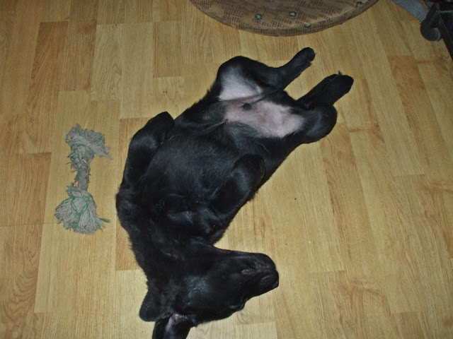 DSCF6956.jpg