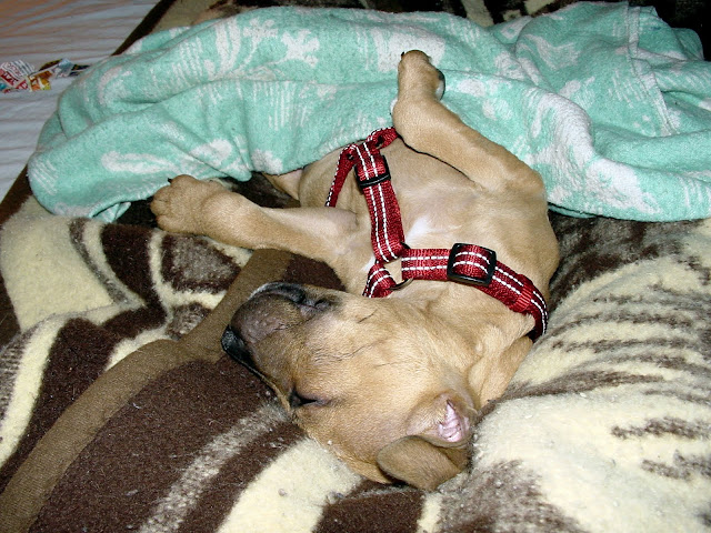 DSC08169.JPG
