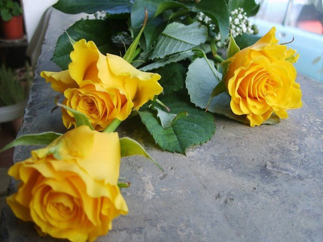 flower5.jpg