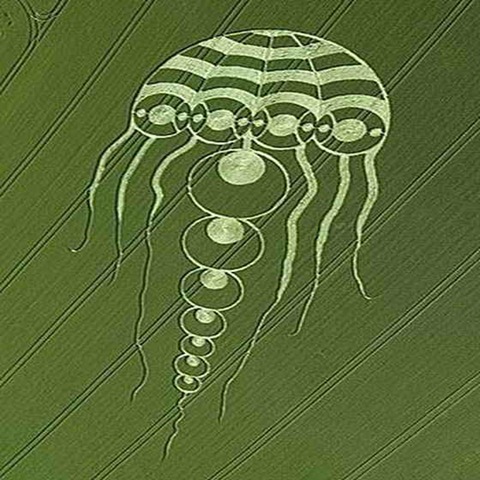 [medusa crop[3].jpg]