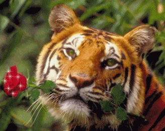 animais024pl.png