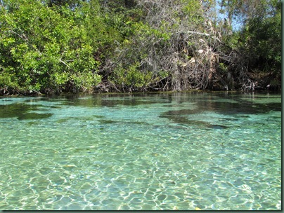 Paddling the Weeki Wachee River