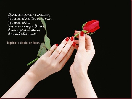 rosa-4362a rosa-4362a