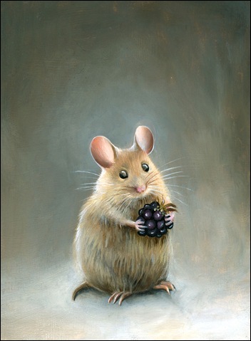 mouse-study