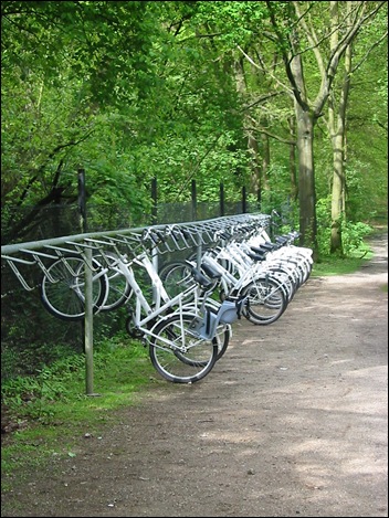 There are many white bicycles wich can be used freely by the visitors!