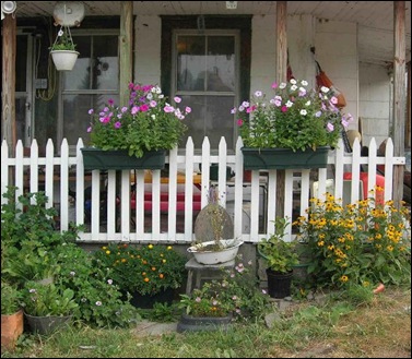 cottage garden