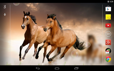 Horses Live Wallpaper screenshot 3