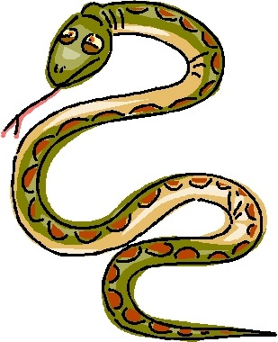 [snake3.jpg]