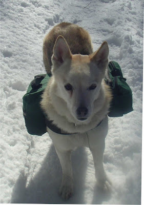 nanuk.jpg