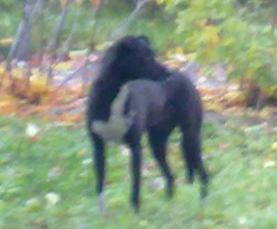 20101026242.jpg