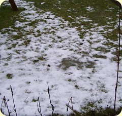 February 2009 melting snow2