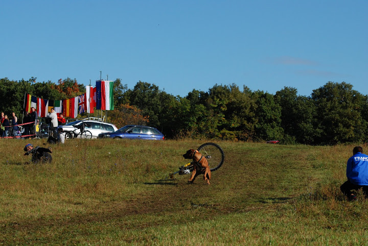 DSC_1868.JPG